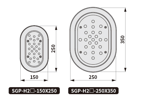 SGP-H2